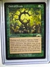 Oath of Druids MTG Exodus