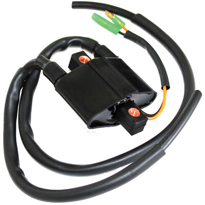 for Arctic Cat ZR800 ZR 800 LE EFI Sno Pro CC 2001 02 2003 Ignition Coil Double