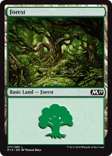 Forest (277) Core Set 2019 Lightly Played, English
