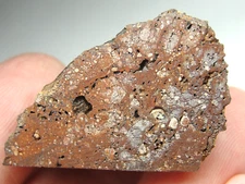METEORITE WRONG - XRF Analysis - Top Quality - XRF-0150 - 13.81g - COA / End Cut