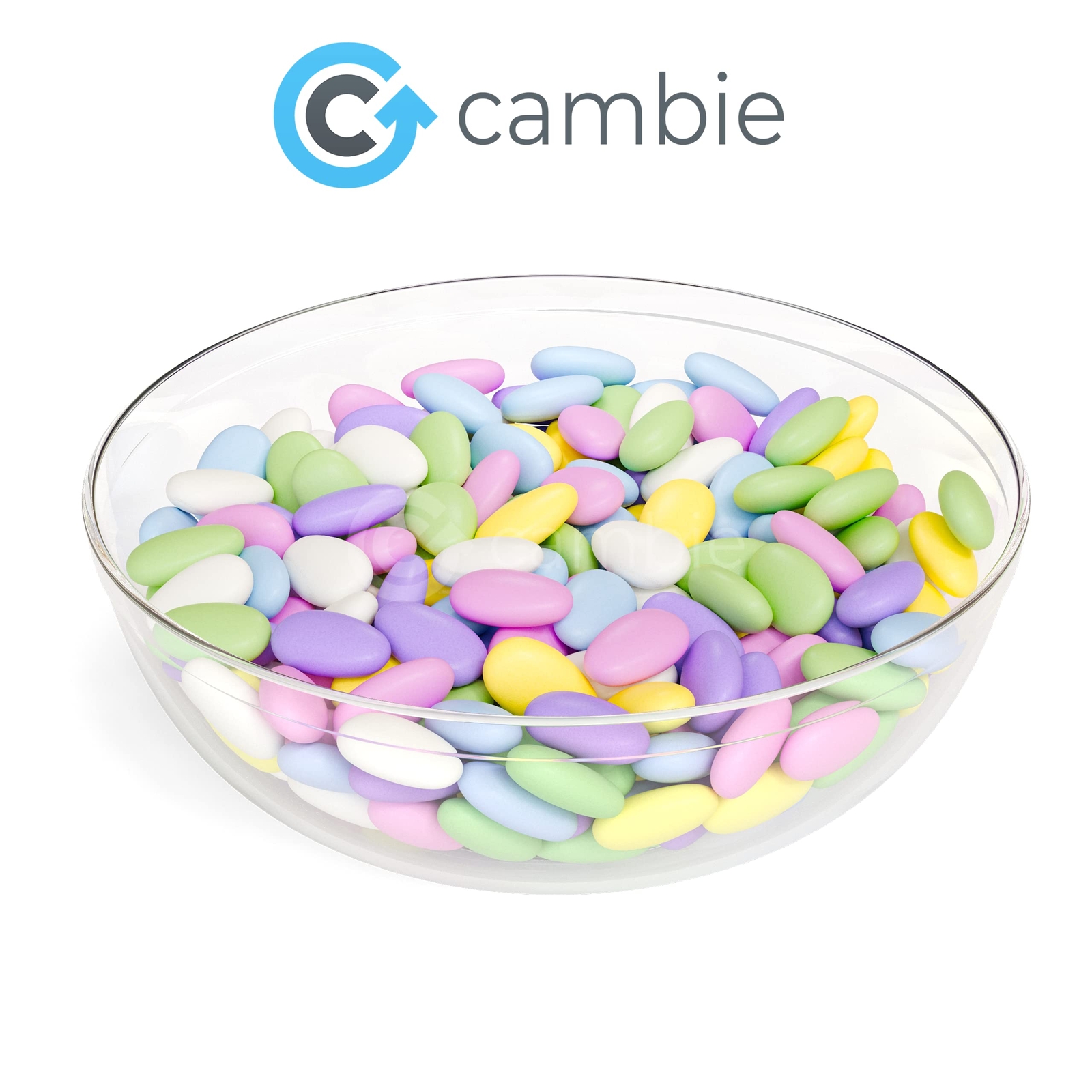 Jordan Almonds Pastel Candy Almonds in Assorted Colors Premium