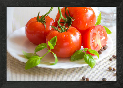 Tomaten Pflanze Teller Gerahmt Wandbild Poster Leinwanddruck Bild