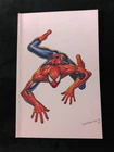 AMAZING SPIDER-MAN #6 VIRGIN TYLER KIRKHAM EXCLUSIVE SPIDERMAN 1