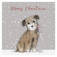 Border Terrier Puppy Dog in Snow - Charity Pack of 5 Christmas & New Year Cards