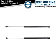 Liftgate Lift Support Shock Strut Set Fits 2000-2005 Hyundai Accent