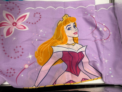 Disney Home Princess Twin Flat Sheet And Pillow Case