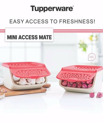 Tupperware Mini Access Mate Onion Potato Keeper Set Of 2 Capacity 2 3l Each Ebay