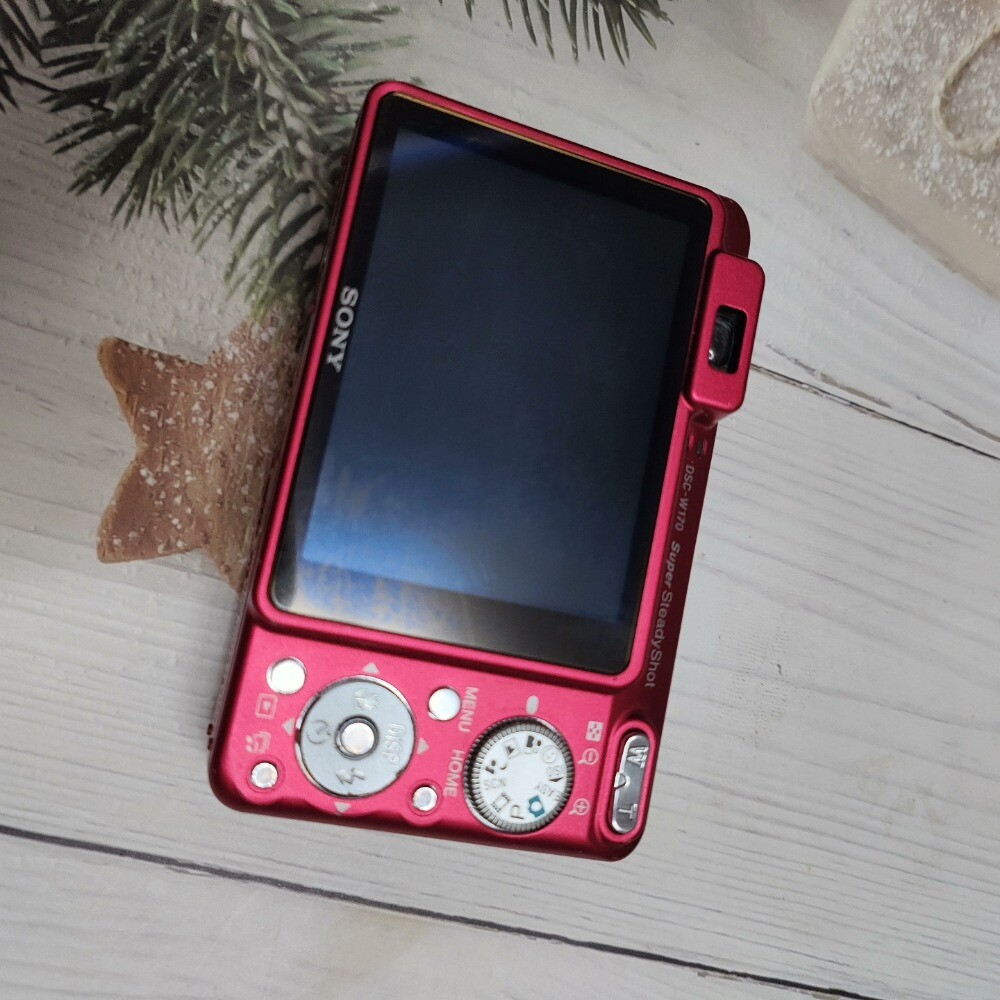 Sony DSC-W170 Digital Camera Face Detection 10.1 MP with