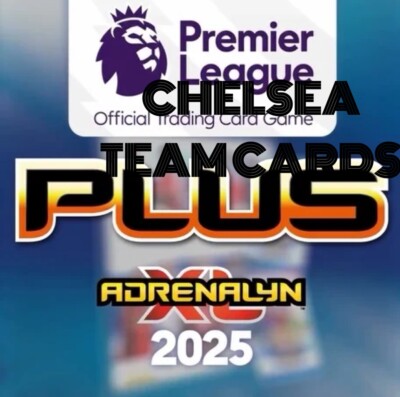 Chelsea Team Panini Plus 24/25 Adrenalyn XL 2024/2025 Karten 100-117