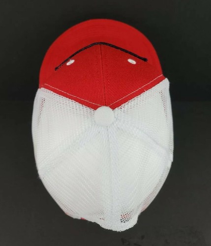 New Hampshire Fisher Cats Established 2004 Snapback Hat Minor League Baseball - Picture 6 of 10