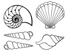 Seashells Shells 25 pcs 1 Inch Black Fused Glass Decals