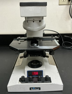Reichert DIASTAR 420 Microscope | No Power Supply | No Eyepieces or Objectives