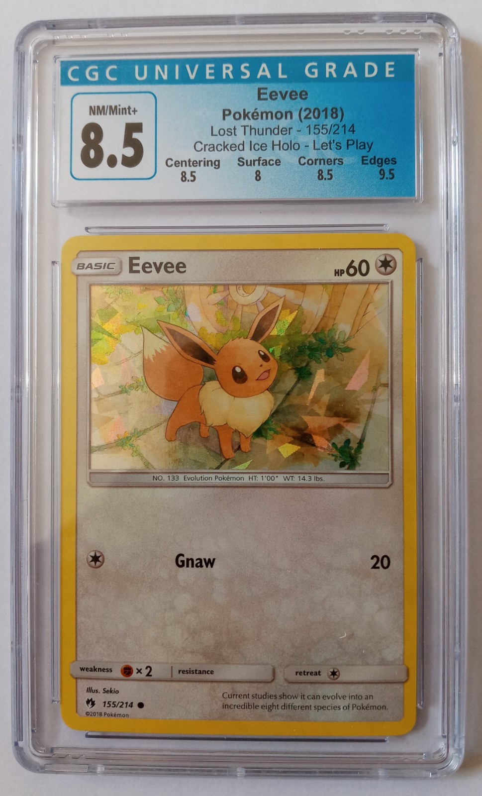 CGC 8.5 Eevee 155/214 Pokemon Cracked Ice Holo Lost Thunder Let's Play