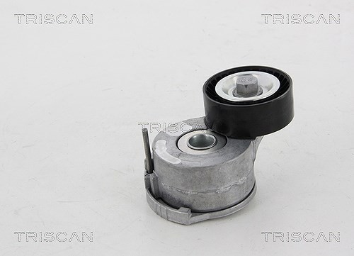 Triscan Spannrolle, Keilrippenriemen U.A. FüR CitroËN, Ds, Fiat, Opel, Peugeot-image
