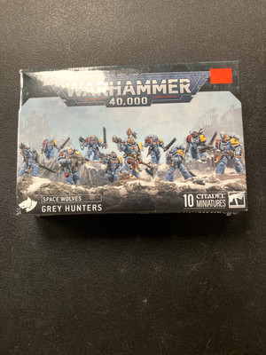 Space Wolves Grey Hunters