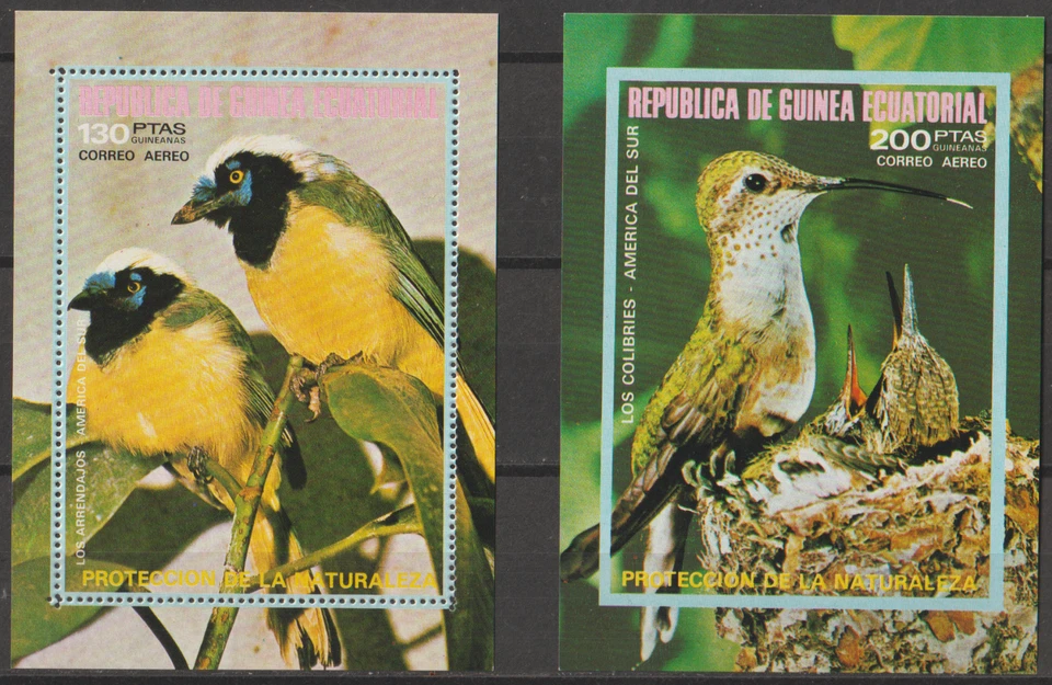 == Guinée Équatoriale. 2 Blocs-feuillets ★★ Oiseaux Amérique du Sud — 1972 == - Photo 1/1