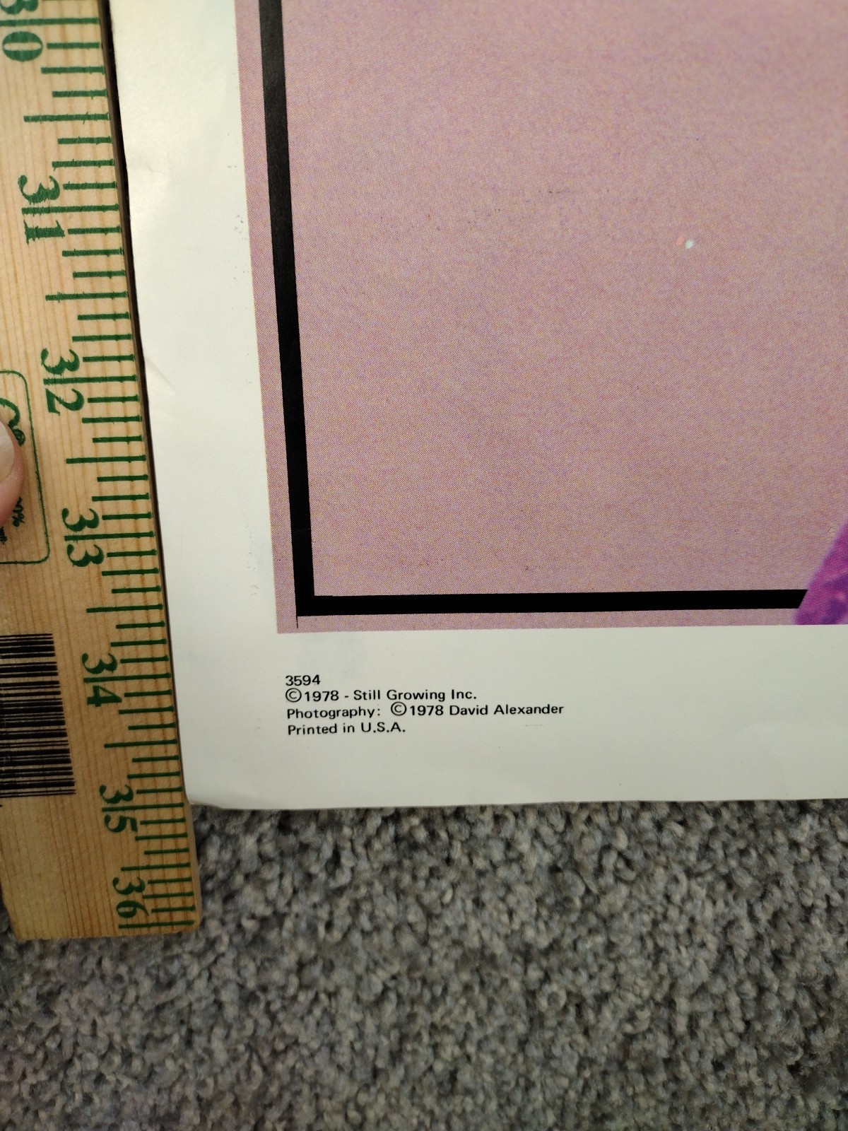 Vintage Lot of 17 80s 70s Sexy Girls  Poster Pin Up Man Cave Wall Art Hollywood