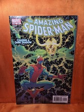 Amazing Spider-Man #504 NM Chasing a Dark Shadow