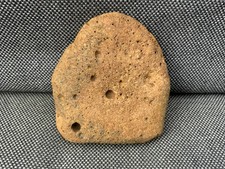 Fossil Whale Bone Section Unidentified sp, North Sea, UK Specimen Rare !