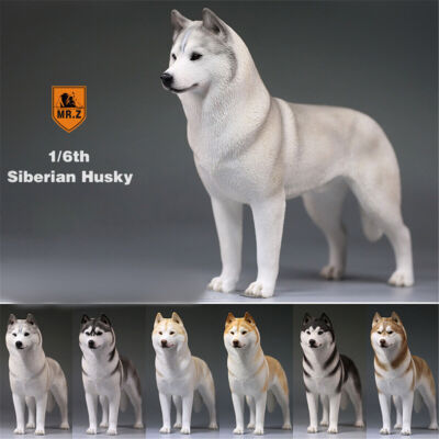 #ad #ad Mr.Z 1 6 Siberian Husky Dog Pet Huskie Figure Animal Decor Model Toy Kid Gift $62.59