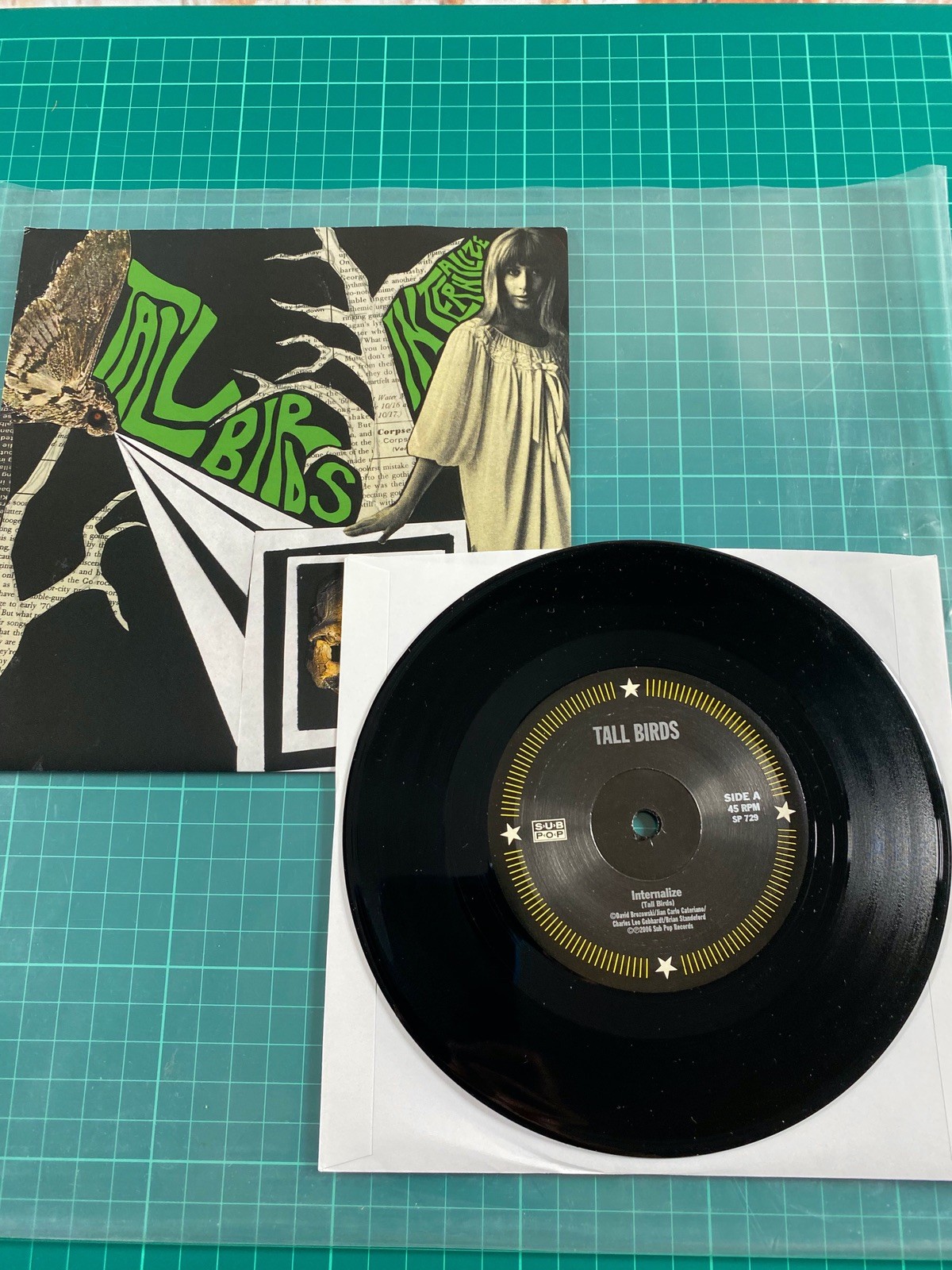 Caterian Tall Birds Intenalize // The Sky Is Falling 7"" Vinyl
