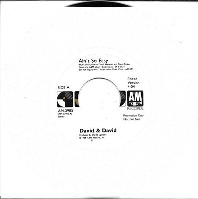 DAVID & DAVID  Ain't So Easy  rare promo 45