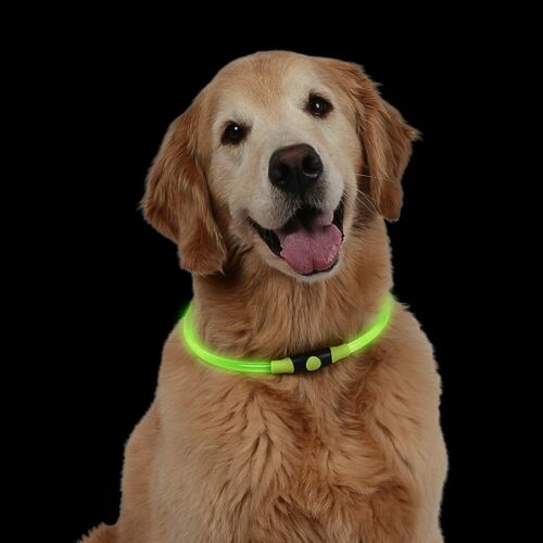 NiteHowl LED Safety Necklace, Universal, Reusable Visibility for Pets * Green * - Picture 1 of 5