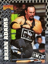 1999 Topps WCW nWo Brian Adams Wrestling Card #38 NJPW WWE Kronik Kona Crush