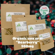 Organic Uva Ursi - Bearberry (Arctostaphylos grape-bear) 500mg Vegetarian