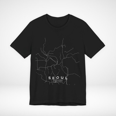 Seoul South Korea Train Map T-Shirt Minimalist Rail Graphic Tee Streetwear