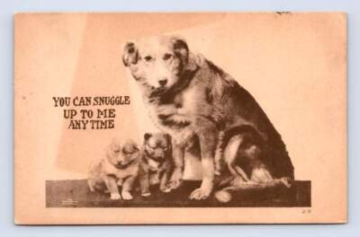 Mother Dog & Puppies ''Snuggle Up to Me Any Time'' Cute Antique PC Canadian Texas
