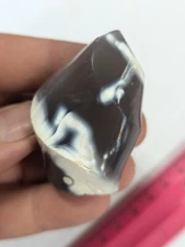 Stand Up Polished Orca Agate Flame Freeform Grey