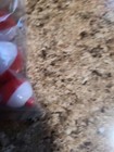 10 FISHING BOBBER ~  Round Floats ~ Red White Plastic Snap on Float Bobbers New  — photo 7