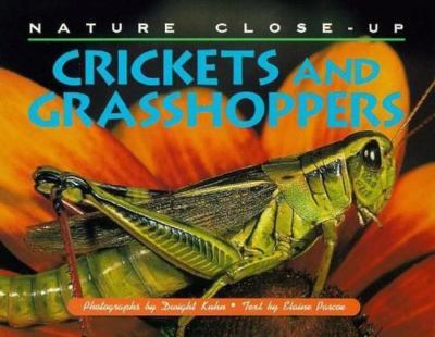 Nature Close-Up - Crickets and Grasshoppers by Elaine Pascoe