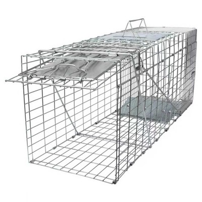 32'' Live Animal Cage Trap, Heavy Duty Folding Raccoon Traps, Humane Cat Trap ...