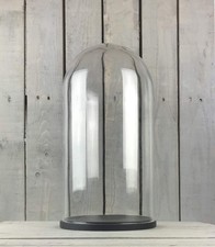 Large Glass Dome Cover Cloche Display With Black Wooden Base Height 46 cm