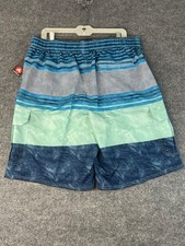 Airwalk Men's Size XLARGE swim trunks with Mesh inside Blue-mint green- grey New