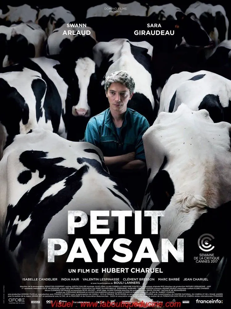 LE PETIT PAYSAN Affiche Cinma Movie Poster Hubert Charuel Swann Arlaud |  eBay