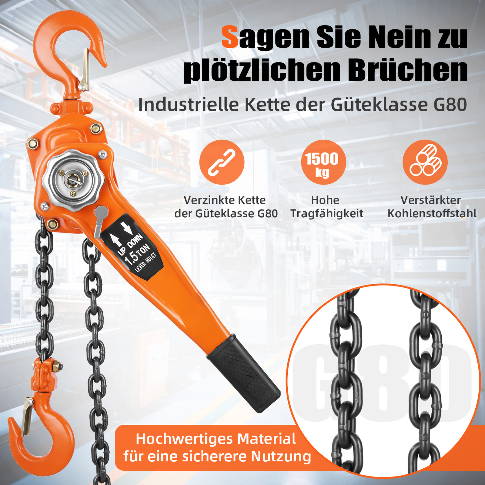 Kettenzug 1500kg 1,5t 1,5m Flaschenzug Hebezug Seilzug