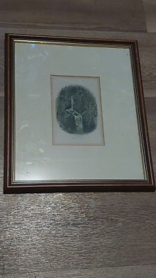 Antiker gerahmter Gravur ''Oberer Fall bei Rydal'' von W. Banks 