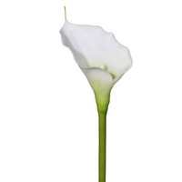 Kunstblume Calla, 4Er Set, Farbe Weiß, HöHe Ca. 72 Cm