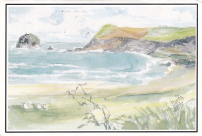 POLZEATH BEACH IN DER NÄHE VON WADEBRIDGE ~ CORNWALL ~ GEBRAUCHT ~ VERSCHICKT ~ POST DATIERT 1993
