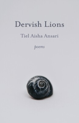 Dervish Lions