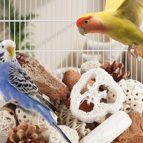 Juguetes para pájaros Juguetes para loros Caja natural de forrajeo de aves Juguetes para pies para periquitos, cacatúa - Imagen 6 de 7