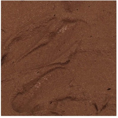Acrylic Color for Modelers - Brown Earth