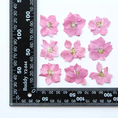 Dried Pressed Flowers Natural Epoxy Resin Candle Nail Art Scrapbooking Craft AU - Picture 104 of 210
