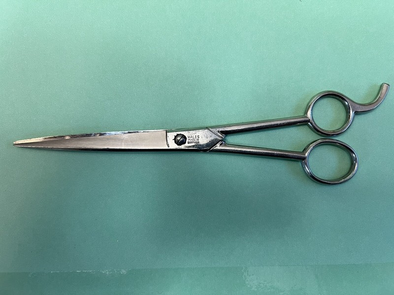 Wales Barber Scissors 