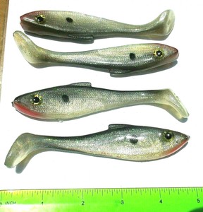 black minnow shad