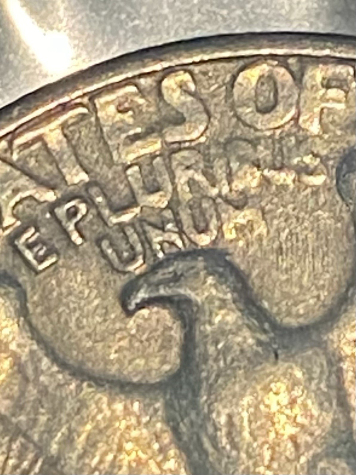Picture 14 of 17