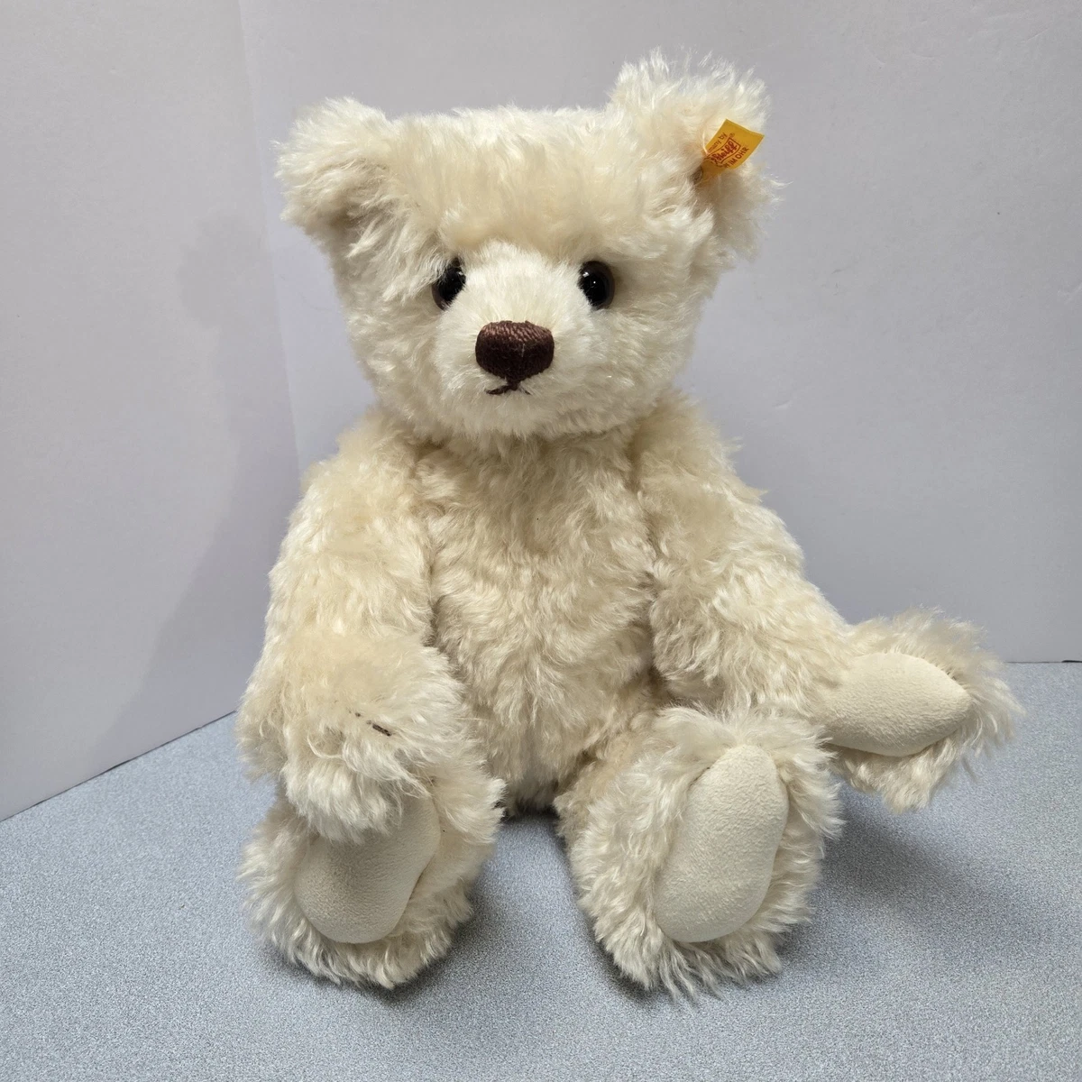 Steiff Bear 1926 for sale | eBay